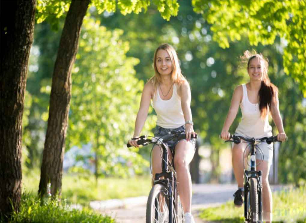 Amenity Cycling park
